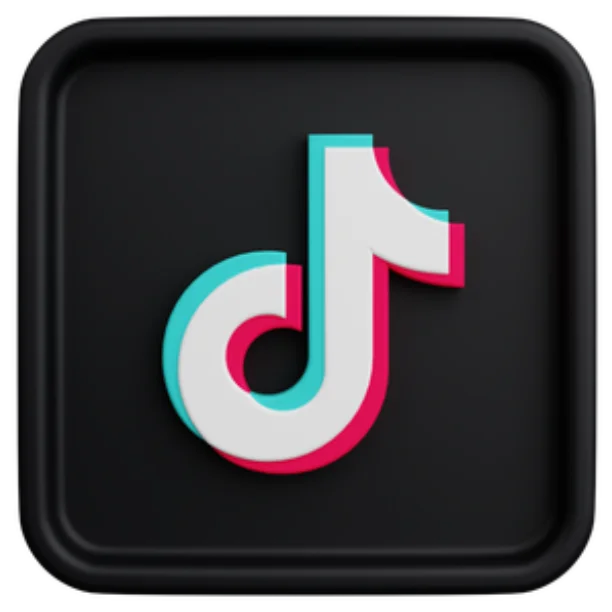 TikTok Profile